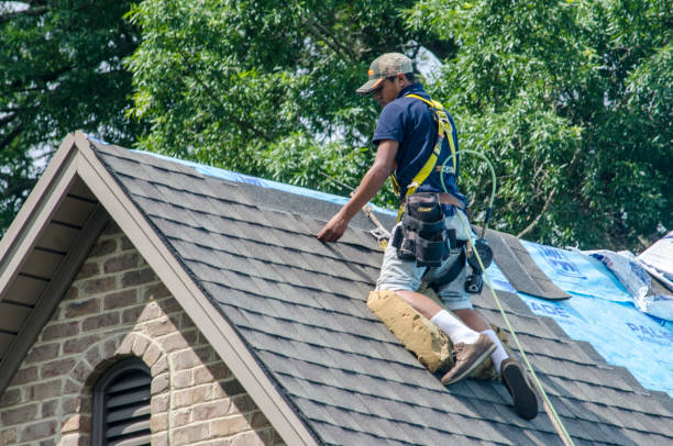 Best Local Roofing Companies  in Martha Lake, WA